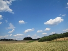 Letnie widoki_65