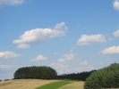 Letnie widoki_66
