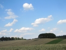 Letnie widoki_67