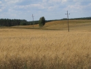 Letnie widoki_6
