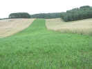 Letnie widoki_71