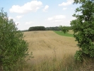 Letnie widoki_74