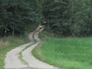 Letnie widoki_76