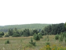 Letnie widoki_8