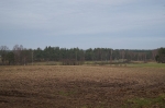 Nasze widoki_19