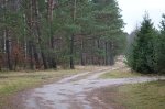 Nasze widoki_21