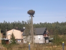 Rokity - Jasień - Rokity