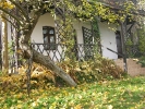 Jesień w Rokitach_10