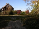 Rokity Jesienią