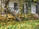 Jesień w Rokitach_9