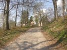 Ruiny Pałacu w Jasieniu