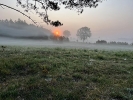 Rokity w obiektywie Pauliny_6
