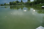 Nasze Rokity_12