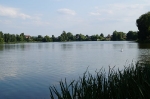 Nasze Rokity_22