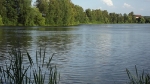 Nasze Rokity_29
