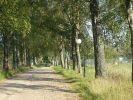 Nasze Rokity_4