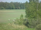 Nasze Rokity_6
