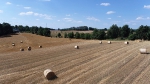 Lato 2020_23