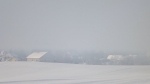 Zima w Rokitach_8