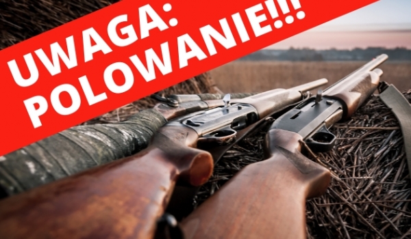 Polowania zbiorowe 2026–2027 – terminy i sołectwa